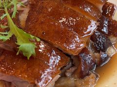 -椿记烧鹅(叠彩店)