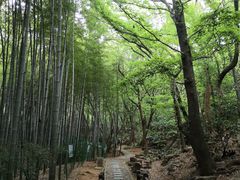 -宝岩生态观光园