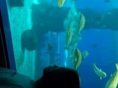 -北戴河圣蓝海洋公园