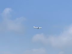 -空港花田景区