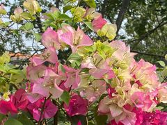 -沙河粉村·国家非遗传承(云台店)