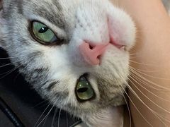 -萌兽医馆·犬猫专科·眼科中心·宠物医院(朝阳门分院)