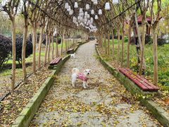 -武汉紫薇都市田园