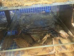 -東大方(湖州白鹭迎店)