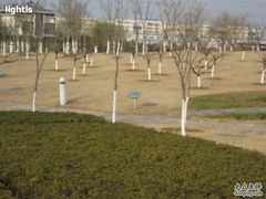 -白塘生态植物园