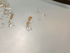 -老城南食府(宣武门东大街店)