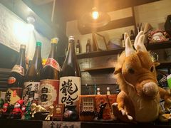 -金龙咖喱