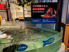 -坛宗剁椒鱼头(河西王府井店)