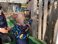 点击看大图 -萌宠亲子动物乐园(槐房万达店)