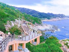 -广东惠东海龟国家级自然保护区