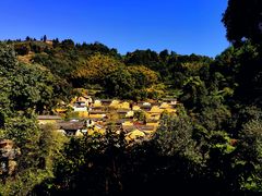-杨家堂村