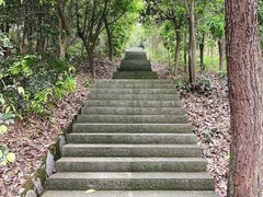 -铁山坪森林公园