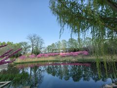 -大望京公园