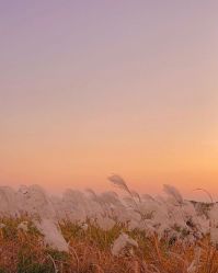 -Lisamoon礼慕纱婚纱礼服高级定制