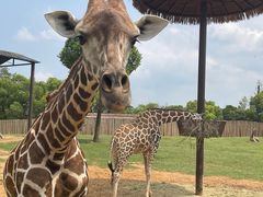 -上海海洋水族馆