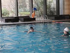 -海豚之星游泳俱乐部(喜来登馆)