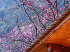 -九皇山景区