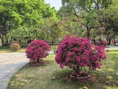-文华公园(禅城区)