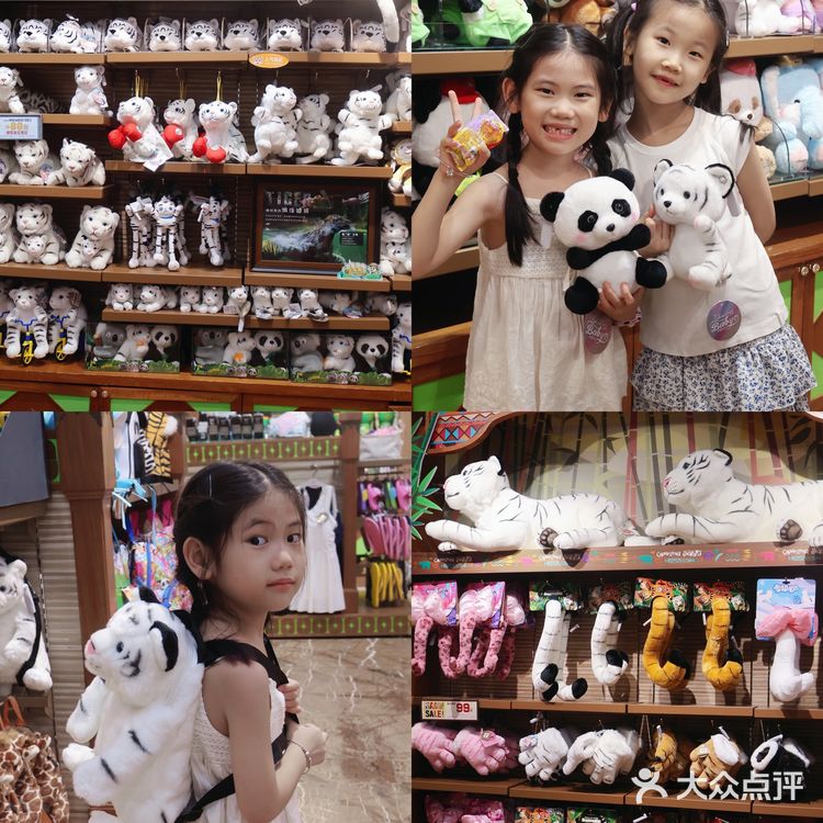 广州🐯娃在长隆白虎餐厅跟老虎用餐又幸福了