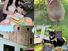 -J Create城市露营咖啡·简餐·宠物(上海动物园店)