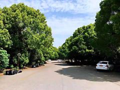 -胜华驾校·小猫学车(银都店)