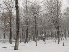 -大兴滨河森林公园