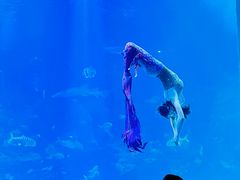 -太平洋海底世界