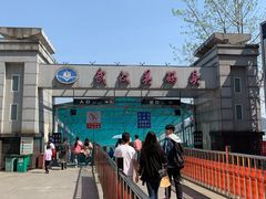 -武汉关码头(轮渡站)