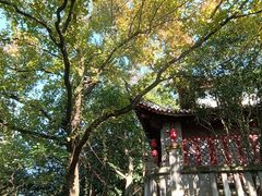 -溪口-滕头旅游景区