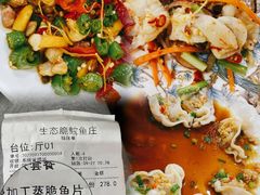 -生态脆鲩鱼庄(吉惠园店)