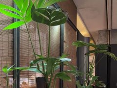 -良木缘咖啡西餐(新城市广场店)