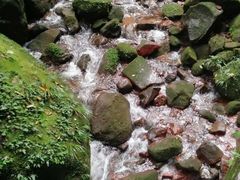 -赤水丹霞旅游区·佛光岩