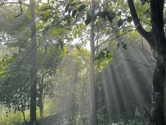 -梧桐山风景名胜区