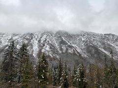-黄龙山原始森林景区