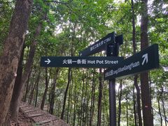-南山植物园