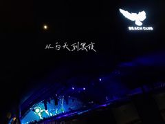 -碧海金沙