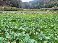 -韶山毛泽东同志故居