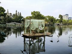-无锡蠡湖国家湿地公园-蠡园