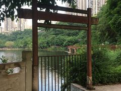 -重庆彩云湖湿地公园