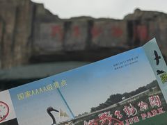 -合肥野生动物园