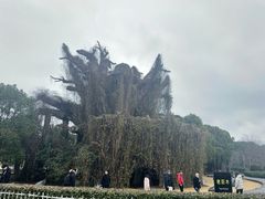 -上海月湖雕塑公园