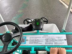 -黄海国家森林公园