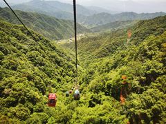 -王顺山国家森林公园
