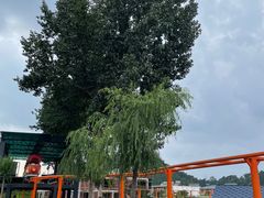 -吉姆冒险世界(蓟州店)