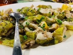 沙骨鱼-东胜客河鲜店·西江河鲜·老字號渔家菜