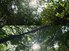 -江二娃串串香(科园四路总店)