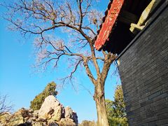 -颐和园