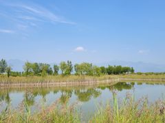 -野鸭湖国家湿地公园