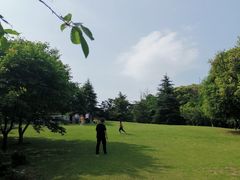 -大金鹰园