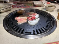 -猫爪爪原切自助烤肉(观音桥阳光世纪店)